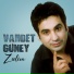 Vahdet Güney