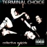 Terminal Choice