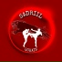 Sadriil