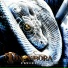 Toxovibora