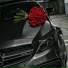 coldrose