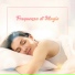 Rilassamento Mentale, Club di Relax Mentale