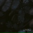 Linear Phase