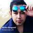 Mohammad Lotfi