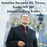 Vidas Pinkevicius