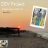 DSV Project