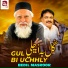 Bedil Masroor