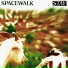 SPACEWALK