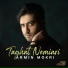 Armin Mokri