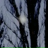 windymind