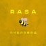 sasa