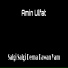 Amin Ulfat