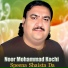 Noor Mohammad Kochi