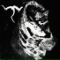 tora