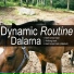 Dynamic Routine