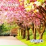 ATRAM