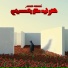 Zeyad Gamal