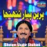 Ghulam Shabir Shahani