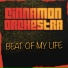 Cinnamon Orchestra