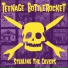 Teenage Bottlerocket