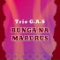 Astara Trio