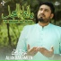 Ali Akbar Ameen