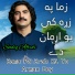 Sadiq Afridi