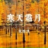 张雅淇