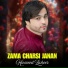 Hameed Zaheer