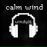 Windy31