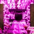 BG 4ss