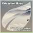 Instrumental, Sleep Music, Wellness