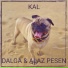 Dalga, Alaz Pesen