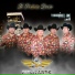 Grupo Militante