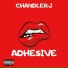 ChandlerJ