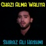 Shiraz Ali Hashmi
