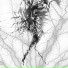 re7