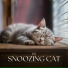 Pet Music