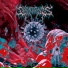 Galactomyces
