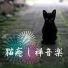 禅リラックス