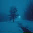 wintercat
