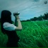 $werve, dmitry.rx