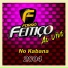BANDA FORRÓ FEITIÇO