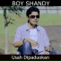 Boy Shandy