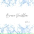 Bruno Vouillon