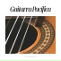 Spanish Guitar