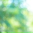 Vianney Lopez