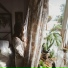 Mellow