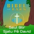 Bibel For Barn
