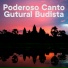 Sonidos de Armonía, Schola Camerata